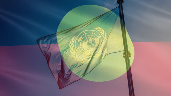 United Nations Declaration on the Rights of Indigenous Peoples (UNDRIP)